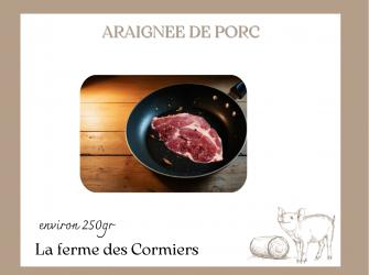 araign�e de Porc