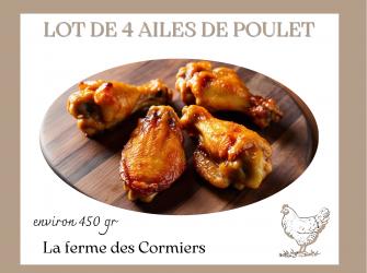 lot 4 ailes Poulet